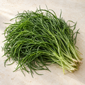 Mönchsbart / Agretti