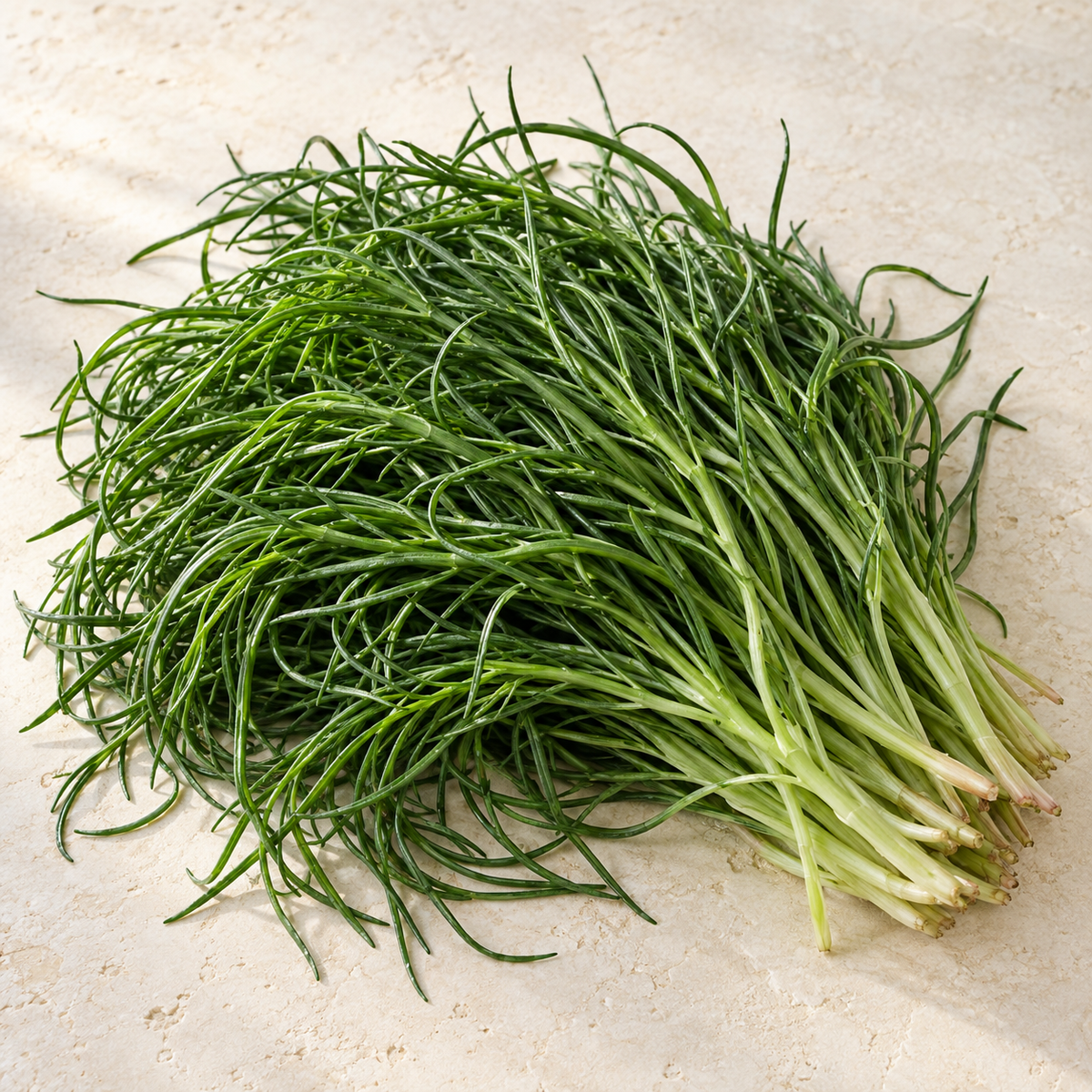 Mönchsbart / Agretti