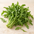 Rucola