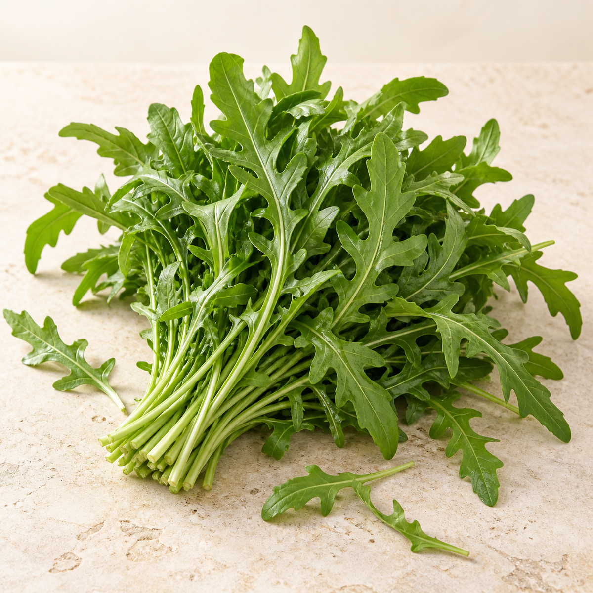 Rucola